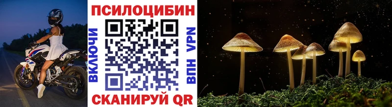 Галлюциногенные грибы Magic Shrooms  Уржум 